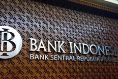 BI Catat Cadev RI per Juni 2024 Naik Tembus USD140,2 M