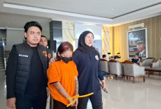 Modus Nonton Kuda Lumping,