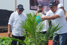 PTPN IV Tanam Perdana 1.070 Hektare Sawit