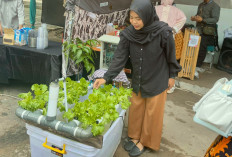  Inovasi Aquaponik Bisa Panen Tanaman dan Ikan