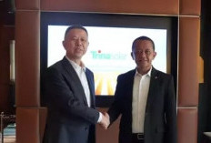  Bangun PLTS 100 GW, RI Ajak Kerja Sama Perusahaan Solar di Tiongkok
