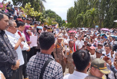 Aturan PPPK Paruh Waktu Keluar, Honorer Lakukan Aksi