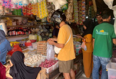 Inflasi Pangan Jadi Perhatian, Pemprov Lampung Pastikan Panen Raya Padi Tetap Aman