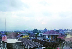 BMKG Peringatkan Banjir Rob dan Cuaca Ekstrem di Lampung 10–14 September 2025
