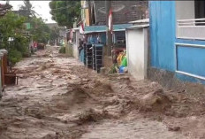 Kerugian Banjir Telukbetung Timur Masih Didata, Pemkot Bandar Lampung Lanjutkan Pemulihan