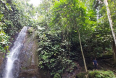 Bertualang Sambil Healing ke Air Terjun Batu Putu 