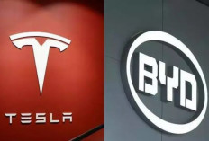 Perbedaan Baterai Tesla dan BYD