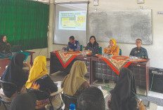 Mudahkan Petani Buat Pelaporan, DKPTPH Provinsi Lampung Luncurkan Layanan e-OP