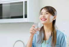 Melatonin vs Magnesium: Mana yang Lebih Cocok untuk Mengatasi Masalah Tidur?
