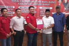 Caleg Terpilih NasDem Lambar Ini Lebih Pilih jadi Eksekutif