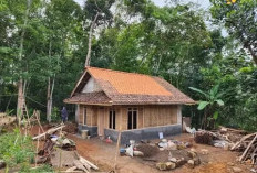 Bedah Rumah Tahun Depan Ditarget 400.000