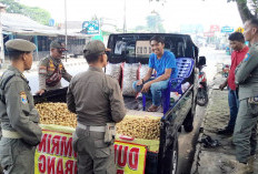 Satpol PP Tegur Pedagang di Bahu Jalan