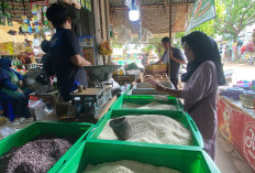 Menjelang Ramadan Harga Telur Mulai Naik