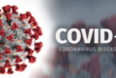 Covid-19 di Luar Negeri Meningkat, Indonesia Belum Perketat Akses