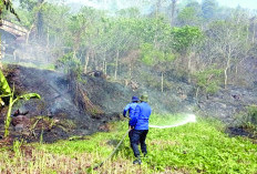 Lahan Gudang Batu Bara Seluaas 2,5 Hektare Terbakar 