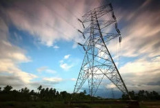  Harga Listrik di AS Naik hingga Tembus Rp30 Juta per Tahun