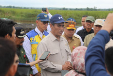 Optimalisasi Lahan dan Cetak Sawah Bisa Hentikan Impor Beras