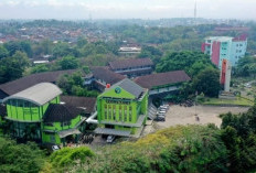  Polinela Buka Prodi Teknologi Produksi Tanaman Perkebunan 