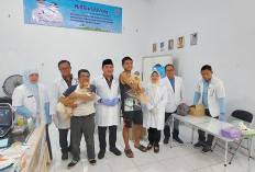 Disnakkeswan Lamsel Gelar Vaksinasi Rabies 