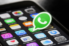 Intip Fitur Baru WhatsApp, Bisa Repost Story Mirip Instagram