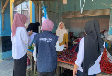  Harga Bawang Merah Tembus Rp40 Ribu per Kg 