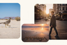 Microsoft Luncurkan MAI-Image-1