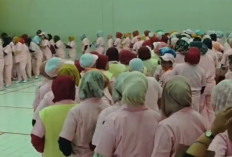  JHT Jadi Napas Terakhir 117.000 Pegawai yang Di-PHK