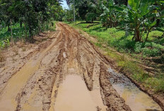   Masih Tanah Merah, Warga Bumiratu Harap Pembangunan Jalan Poros  
