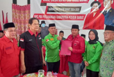 Modal Dua Kursi di Parlemen, PPP Pesisir Barat Lampung Pepet PDIP 