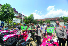 Kendalikan Inflasi, Bandarlampung Tanam Cabai Massal