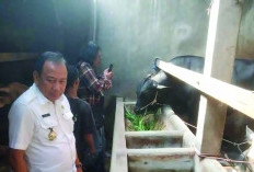 Sempat Terjerat Korupsi, Retribusi Pasar Tradisional Diperketat