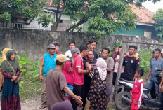 Kehabisan Bahan Bakar, Nelayan Pasar Krui Ditemukan di Perairan Bangkunat, Alhamdulillah Selamat