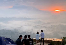 Camping di Bukit Embun Serasa Berada di Negeri di Atas Awan
