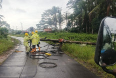 PLN UID Lampung Imbau Warga Tingkatkan Kewaspadaan Hadapi Cuaca Ekstrem hingga Bencana Banjir