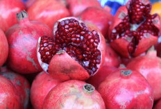 Biji Delima Menyimpan Manfaat bagi Kesehatan Tubuh