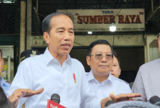 Jokowi Sebut Pabrik Baterai Listrik Beroperasi Juni 