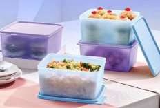 Berdiri Selama 78 Tahun, Tupperware Bangkrut 