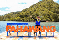 Pesona Pulau Pahawang Surganya Pecinta Snorkeling, Lanadiya Jadi Spot Terbaru