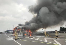  Bus Pariwisata Terbakar di Tol, Bagimana Nasib Penumpangnya?