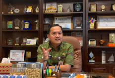  Integrasi Coding dan Programmer Mulai Semester Ganjil 2026