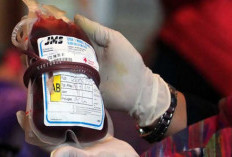 Stok Aman, PMI Metro Tetap Cari Darah