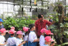  Kantong Semar Terancam Punah