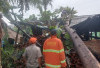 Cuaca Ekstrem dan Banjir Rob Ancam Lampung, BMKG Imbau Warga Pesisir Waspada