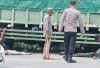 Laka Maut di Jalinsum, Begini Himbauan Kasat Lantas Polres Lamsel