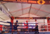 303 Petinju Muda Ikui Bhayangkara Boxing Clash,  Ajang Minimalisir Kenakalan Remaja 