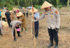 Polres Waykanan Tanam Jagung 