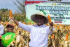  PTPN Diminta Jangan Hanya Profit Oriented