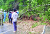 Hujan Deras Picu Banjir, Longsor, dan Pohon Tumbang