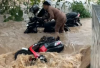  Basemen Pemkab Pesisir Barat Terendam Banjir, Kendaraan Terjebak