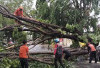 Hujan Badai di Bandar Lampung Rusak Puluhan Atap Rumah Warga